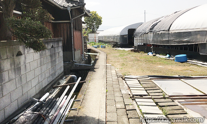 江戸農園のイチゴ狩りのハウス傍にはトイレがあります