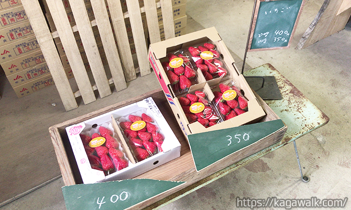 江戸農園ではパック詰めされたイチゴも購入できます