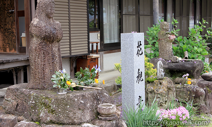 萬福寺で静かに藤を眺めていると清らかな気持ちになります