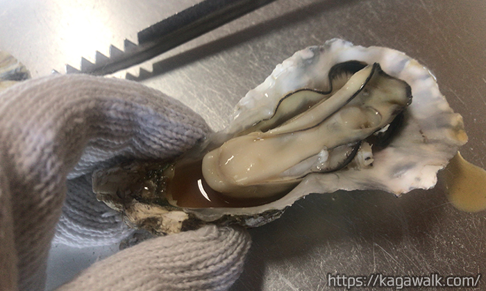 坂出みき水産☆牡蠣食べ放題の攻略法！海鮮巻き寿司も美味しくて最高