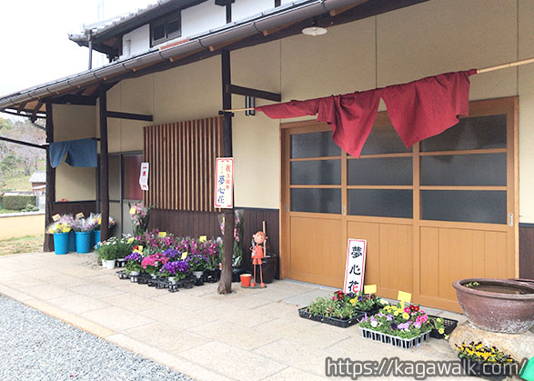 大きな鳥居がある亀山神社。その近くに「夢心花」があります。